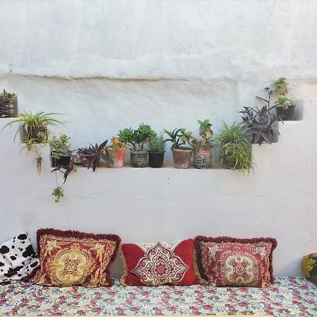 Hostel Zicatela Taghazout Dış mekan fotoğraf